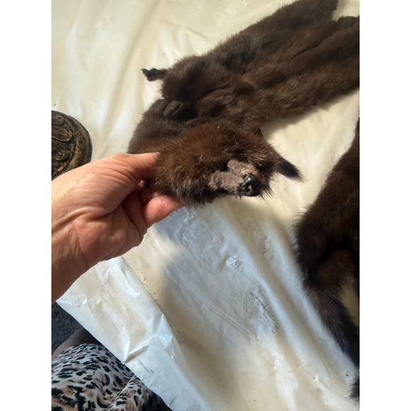 Vintage 1940s 5 Full Pelt Mink Stole brown - Picture 4 of 12